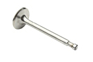 MGA Intake valve 1622 61-62