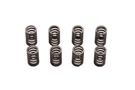 MGB Valve spring set 72-80