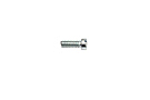 MGB Dashpot and float chamber screw 62-74